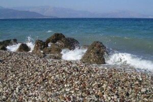 15 - Αντιγραφή
